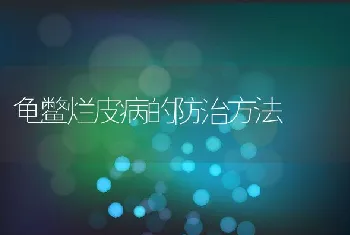 内蒙古巴彦淖尔市磴口县繁育黄河鲤鱼苗种获得成功