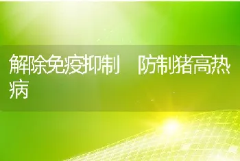 解除免疫抑制防制猪高热病