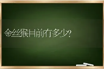 金丝猴目前有多少？