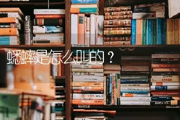 蟋蟀是怎么叫的？