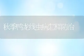 秋季鸭龙线虫病怎样防治