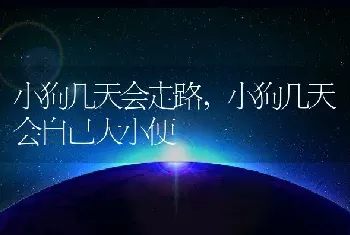 小狗几天会走路，小狗几天会自己大小便