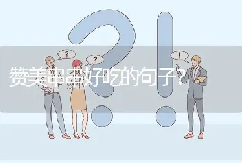 赞美串串好吃的句子？