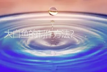 大白鱼的制作方法？