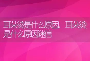 耳朵烫是什么原因，耳朵烫是什么原因迷信