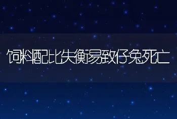 饲料配比失衡易致仔兔死亡