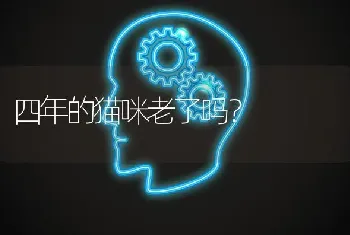 大伊万是个什么梗？