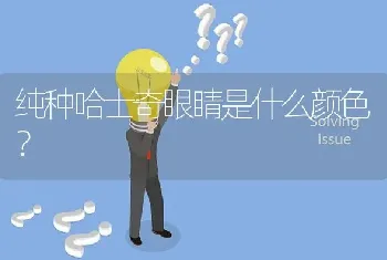 纯种哈士奇眼睛是什么颜色？