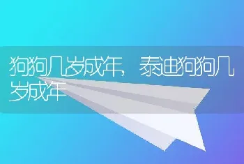 狗狗几岁成年，泰迪狗狗几岁成年