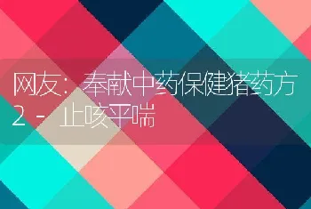 网友：奉献中药保健猪药方2-止咳平喘