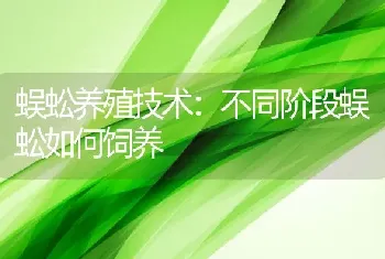 蜈蚣养殖技术：不同阶段蜈蚣如何饲养