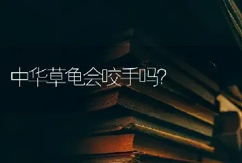 中华草龟会咬手吗？