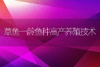 草鱼一龄鱼种高产养殖技术