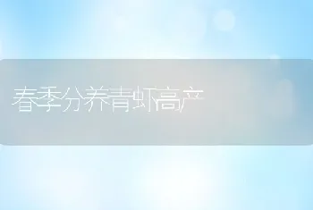 春季分养青虾高产