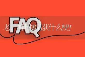 老三国七擒孟获什么梗？