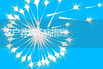 农户养鸡防病措施