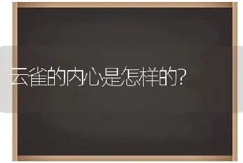 云雀的内心是怎样的？