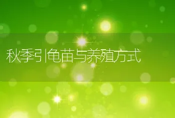 小规模养殖技术难点