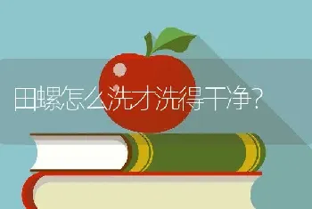 田螺怎么洗才洗得干净？