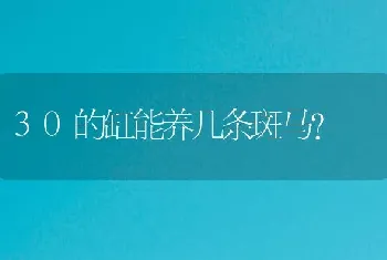 30的缸能养几条斑马？