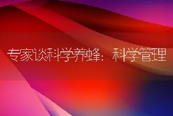 专家谈科学养蜂：科学管理