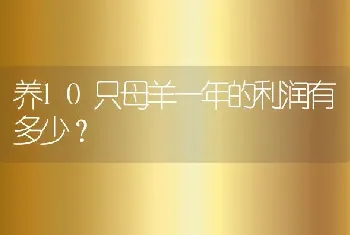 养10只母羊一年的利润有多少？