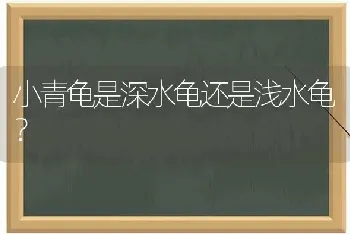 为什么猫是张嘴死的？