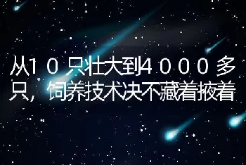 从10只壮大到4000多只，饲养技术决不藏着掖着