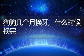 内环境名词解释，内环境名词解释生理学