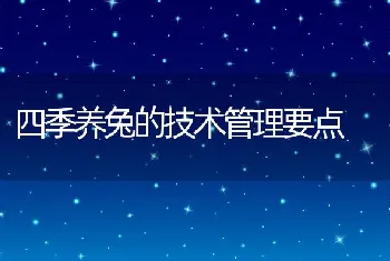 四季养兔的技术管理要点