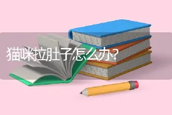 恶霸犬一天拉几次？