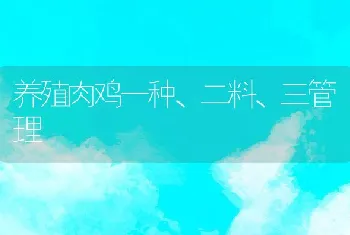 养殖肉鸡一种、二料、三管理