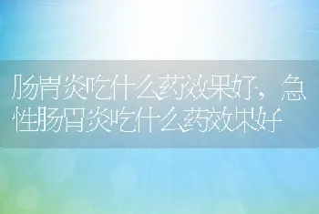 肠胃炎吃什么药效果好，急性肠胃炎吃什么药效果好