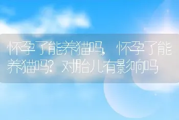 怀孕了能养猫吗，怀孕了能养猫吗？对胎儿有影响吗