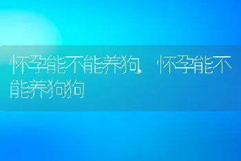 怀孕能不能养狗，怀孕能不能养狗狗