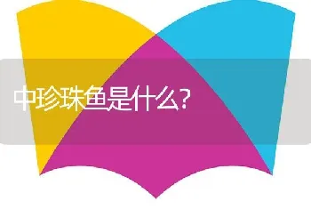 中珍珠鱼是什么？