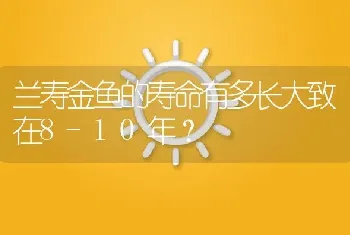 兰寿金鱼的寿命有多长大致在8-10年？