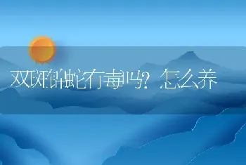 双斑锦蛇有毒吗？怎么养