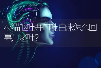 小猫呕吐并口吐白沫怎么回事,老吐？