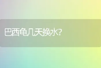 巴西龟几天换水？