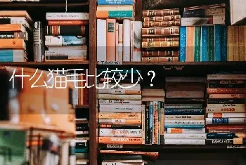 什么猫毛比较少？