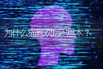 为什么猫喜欢吃巴旦木？