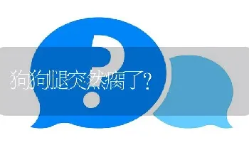 狗狗腿突然瘸了？