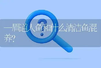 两只喜鹊站在梅花树上打一个成语？