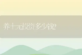 养土元投资多少钱？