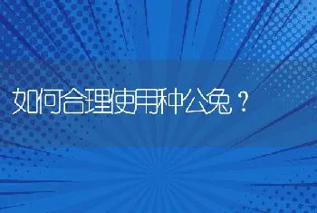 长毛兔夏季饲养管理技术