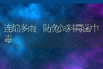 连绵多雨 防兔饲料霉菌中毒