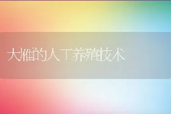 大雁的人工养殖技术