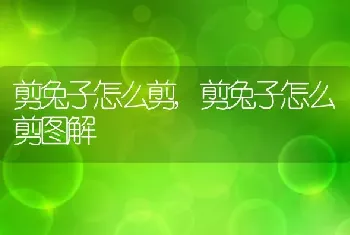 猫咪多大可以驱虫，猫咪多大可以驱虫体外