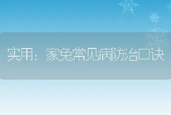 实用：家兔常见病防治口诀